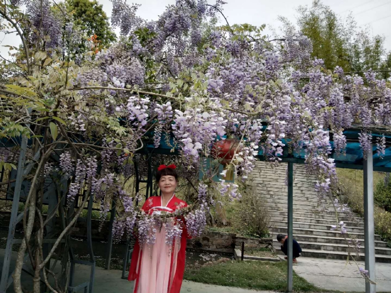 莉莉的第一张照片--红颜知己交友网