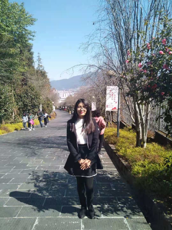 窗台上的桔梗的第一张照片--红颜知己交友网