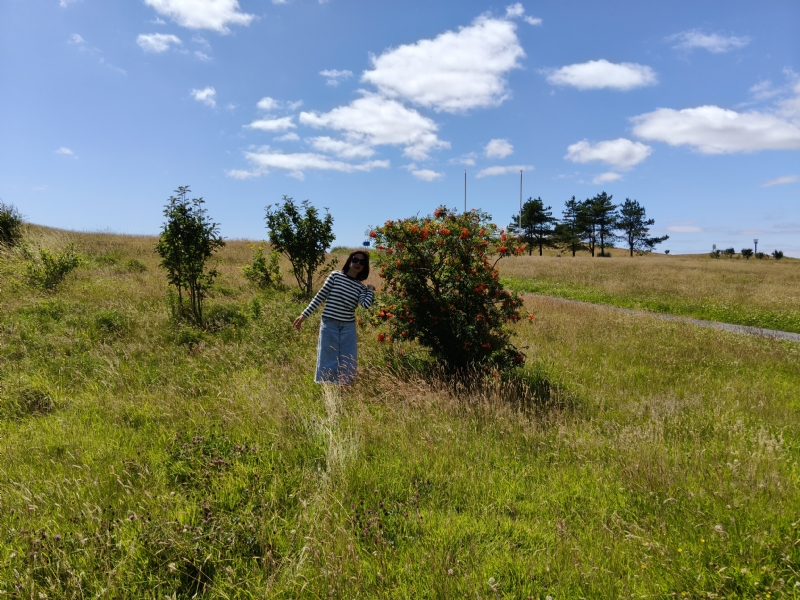 秋蝉的第一张照片--红颜知己交友网