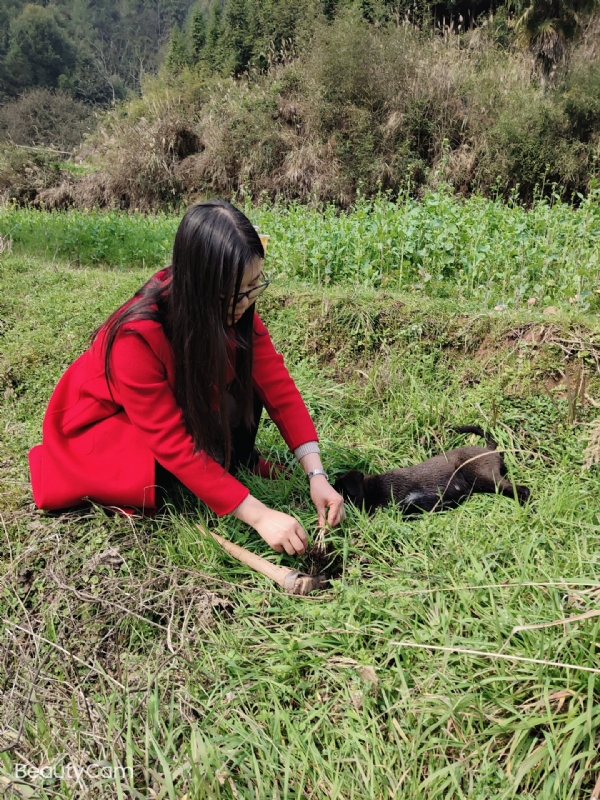 下一个春和秋的第一张照片--红颜知己交友网