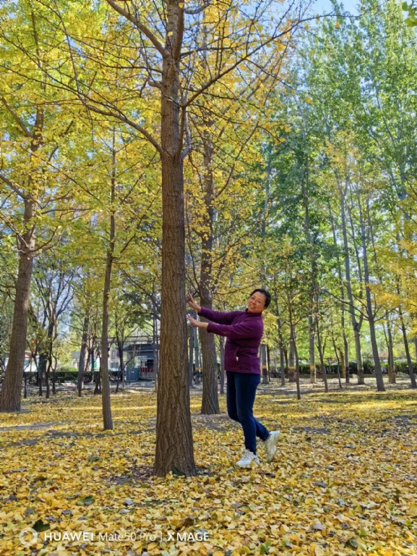 Shirley的第三张照片--红颜知己交友网