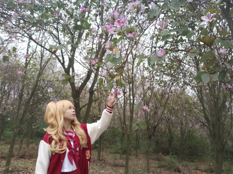 暮秋的第二张照片--红颜知己交友网