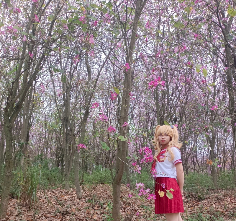 暮秋的第三张照片--红颜知己交友网