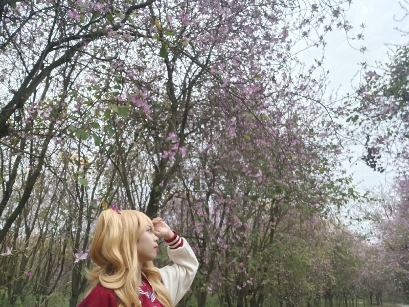 暮秋的第五张照片--红颜知己交友网